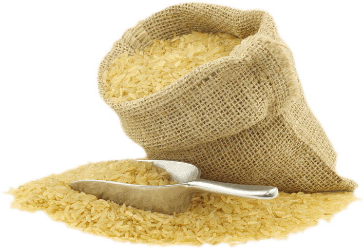 pngkit rice hat png 1022074